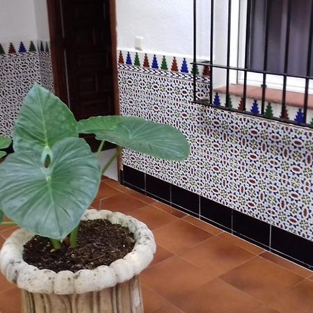 דירות קורדובה Patio Pompeyos מראה חיצוני תמונה