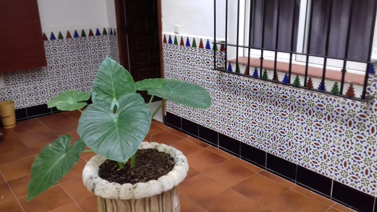 דירות קורדובה Patio Pompeyos מראה חיצוני תמונה